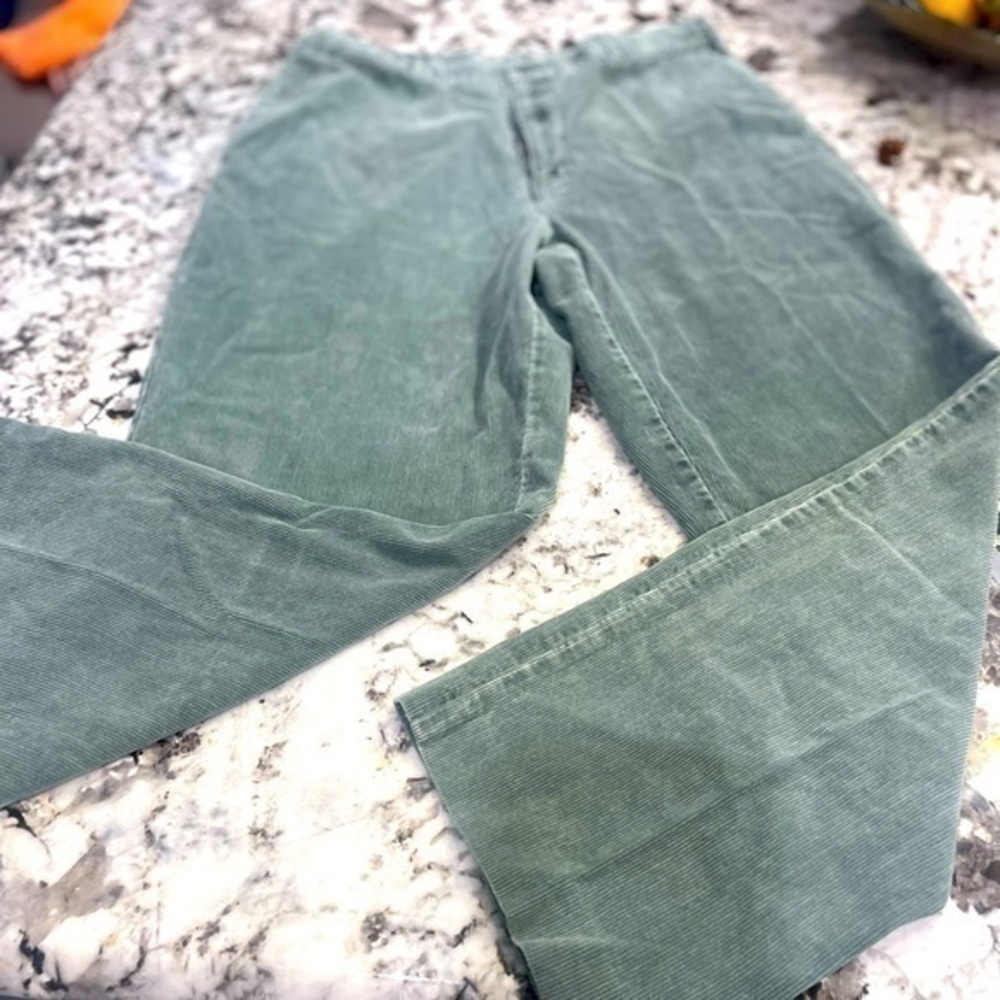 Lands End Velvet Pants men’s size 35x30